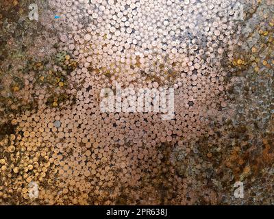 Sehr viele alte isländische Münzen auf dem Boden - Geldkonzept von oben genommen. Stockfoto