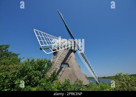 Windmühle „Charlotte“, Naturschutzgebiet „Geltinger Birk“, Nieby, Schleswig-Holstein, Deutschland Stockfoto