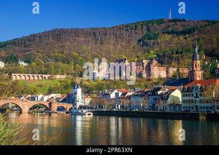 Heidelberger Altstadt und Heidelberger Burg am Neckar im Bundesland Baden-Württemberg. Stockfoto