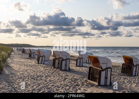 Der Blick auf den Strand von Zempin auf der Insel Usedom mit vielen Liegen Stockfoto