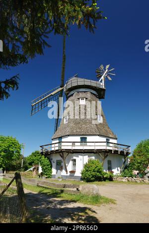 Historische Windmühle in Grevesmühlen, Nordwestmecklenburg, Mecklenburg-Vorpommern, Deutschland Stockfoto