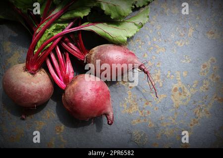 Frische Rote Bete mit Blättern auf grauem Steingrund. Gesunde Ernährung. Draufsicht. Freier Speicherplatz für Ihren Text Stockfoto