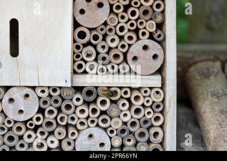 Ein Insektenhotel für Bienen, Wespen und andere Insekten aus Holz. Stockfoto