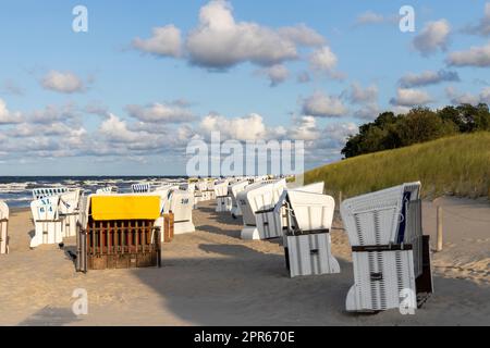 Der Blick auf den Strand von Zempin auf der Insel Usedom mit vielen Liegen Stockfoto