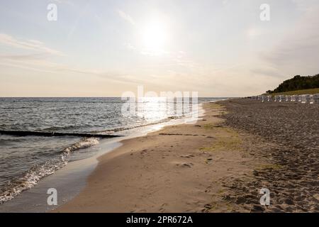 Der Blick auf den Strand von Zempin auf der Insel Usedom mit vielen Liegen Stockfoto