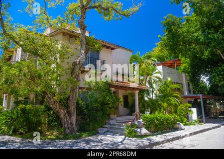 Luxuriöse authentische historische Villa im Schatten von Bäumen in Playa del Carmen, Yukatan, Mexiko. Stockfoto