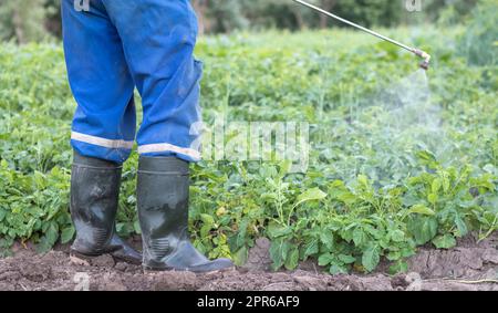 Ein Landwirt, der Insektizide auf seine Kartoffelernte aufbringt. Die Beine eines Mannes in persönlicher Schutzausrüstung für die Anwendung von Pestiziden. Ein Mann sprüht Kartoffelbüsche mit einer Lösung aus Kupfersulfat. Stockfoto