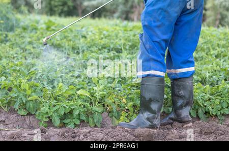 Ein Landwirt, der Insektizide auf seine Kartoffelernte anwendet. Der Einsatz von Chemikalien in der Landwirtschaft. Bekämpfung von Pilzinfektionen und Insekten. Ein Mann sprüht Schädlinge Stockfoto