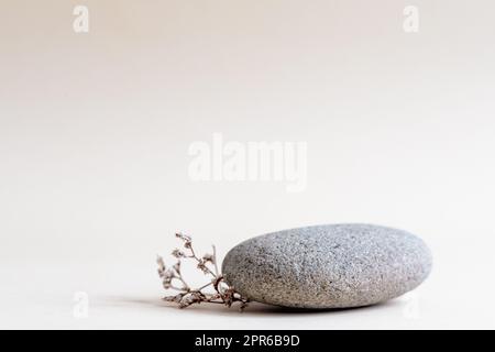 Hintergrund für kosmetische Produkte von natürlichen beigen Farbe. Stein Podium und trockene Blume Stockfoto