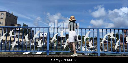 Gelegen im Gongliao District und Miri Longdong Bay, umgeben von Bergen auf drei Seiten und nur mit Blick auf das Meer im Nordosten, um eine natürliche kleine Bucht zu bilden, New Taipei City, Taiwan Stockfoto