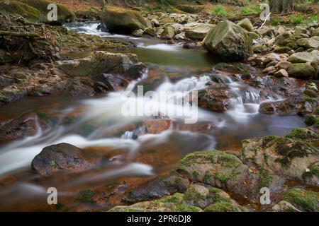 Die romantische Ilse bei Ilsenburg am Fuße des Brockens im Nationalpark Harz in Deutschland Stockfoto