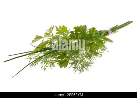 Ein Bündel frischer Küchenkräuter auf Weiß Stockfoto