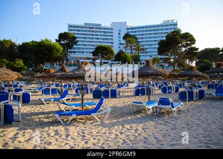 Liegestühle im goldenen Sand eines Luxusresorts mit Strohschirmen an der Font de Sa Cala an der Ostküste Mallorcas auf den Balearen Stockfoto