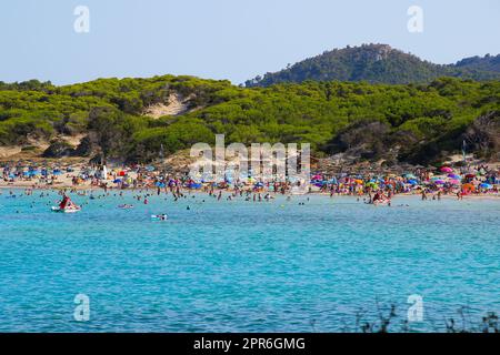 Touristenmassen auf Urlaub am Mittelmeer, versammelt am Strand von Cala Agulla an der Küste von Mallorca auf den Balearen Stockfoto