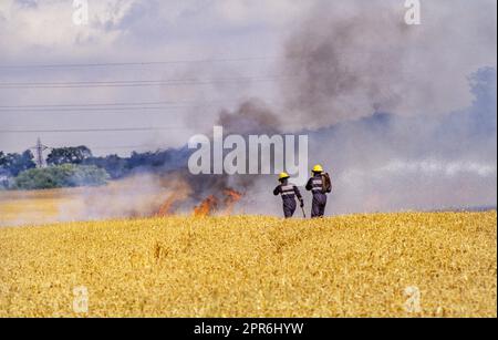 Feuerwehrleute bekämpfen Maisfeldfeuer in der Nähe von Aylesfrod Kent Mitte 1990Õs Stockfoto