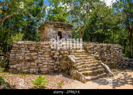 Maya-Ruinen im Schatten von Bäumen im tropischen Dschungelwald Playa del Carmen, Riviera Maya, Yu atan, Mexiko Stockfoto