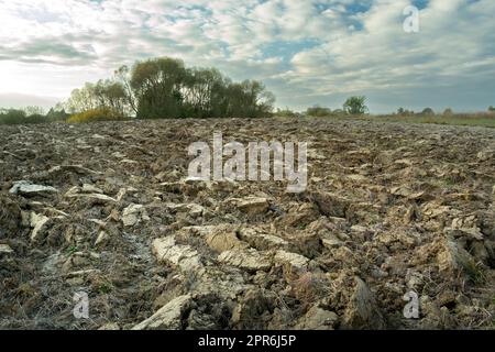 Gepflügter Boden auf dem Feld und der Nachthimmel Stockfoto