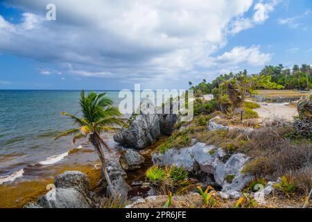 Palmen und Felsen am Strand, Maya-Ruinen in Tulum, Riviera Maya, Yucatan, Karibik, Mexiko Stockfoto