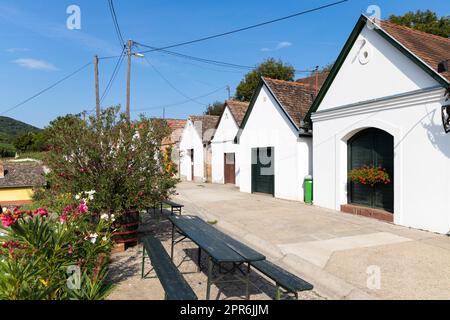 Weinkeller in Villanykovesd, Villany, Ungarn Stockfoto