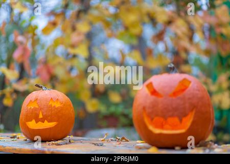 halloween Kürbis, Herbst Stillleben Stockfoto