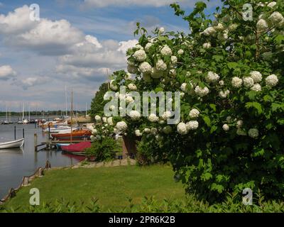 Die kleine Stadt Arnis am fluss schlei Stockfoto