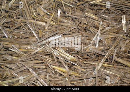 Helle Lehm Stroh Textur Hintergrund Stockfoto