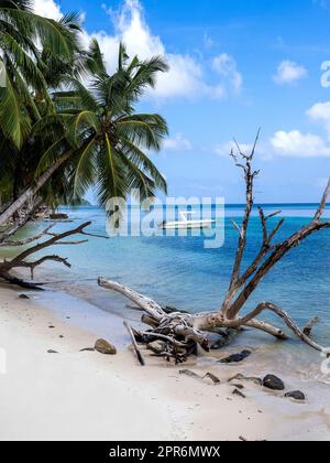 Seychellen, Praslin - Anse St. Sauveur Stockfoto