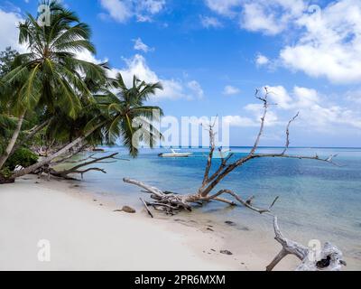 Seychellen, Praslin - Anse St. Sauveur Stockfoto