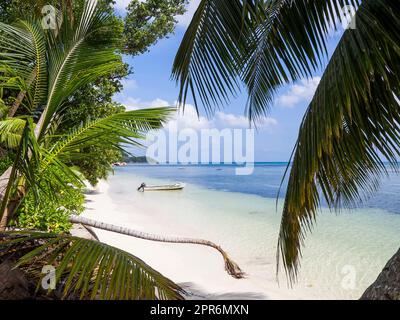 Seychellen, Praslin - Anse St. Sauveur Stockfoto