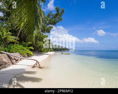 Seychellen, Praslin - Anse St. Sauveur Stockfoto