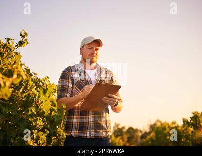 Ich werde bald bereit sein, diese Ernte zu ernten. Aufnahme eines glücklichen Bauern, der sich Notizen auf einem Klemmbrett macht, während er in einem Weinberg steht. Stockfoto