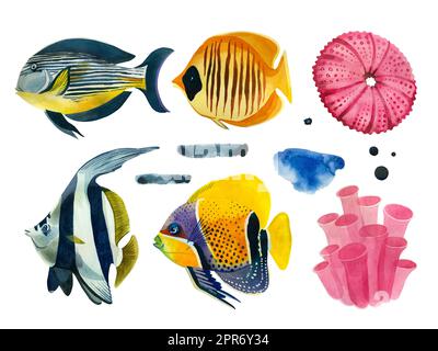 Große Auswahl an Aquarellelementen. Exotische Korallenfische in leuchtenden Farben, blaue Wasserflecken, Seeigel, Korallen und Seesterne in Pink Stockfoto