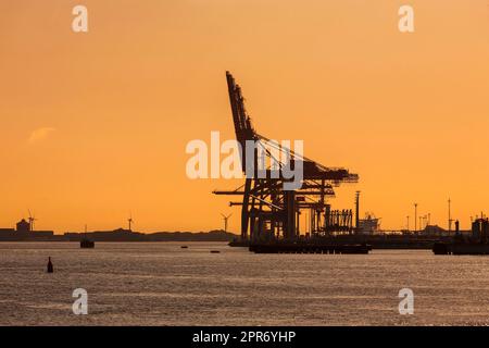 Containerkräne in einem Hafen bei Sonnenuntergang Stockfoto