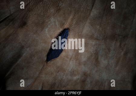 Echtleder-Textur-Hintergrund Stockfoto