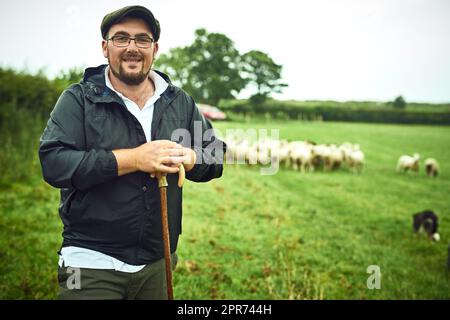 Die Schafe sind draußen. Porträt eines fröhlichen jungen Bauern, der mit einem Stock steht, während eine Herde Schafe im Hintergrund auf einem offenen Feld grast. Stockfoto