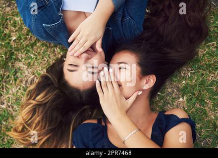 Ich erzähle ihr immer alle meine Geheimnisse. High-Angle-Aufnahme von zwei weiblichen besten Freundinnen, die den Tag in einem öffentlichen Park verbringen. Stockfoto