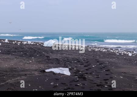 Diamond Beach in Island mit blauen Eisbergen, die auf schwarzem Sand schmelzen und Eis, das mit Sonnenlicht glitzert. Stockfoto