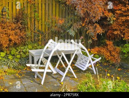 Weiße Holzstühle und Tisch in einem ruhigen, ruhigen, üppigen, privaten Hinterhof zu Hause im Herbst. Terrassenmöbel im Außenbereich, Sitzgelegenheiten in einem leeren und ruhigen Garten mit Scheuerpflanzen Stockfoto