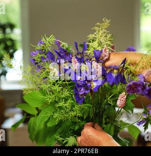 Aus nächster Nähe sehen Sie lila Larkspur-Blumen mit grünen Blättern, lila Blumen in den Händen in einem Hausklima im Frühling, verschiedene, bunte Wildblumen im Sommer und helles Licht darauf. Stockfoto