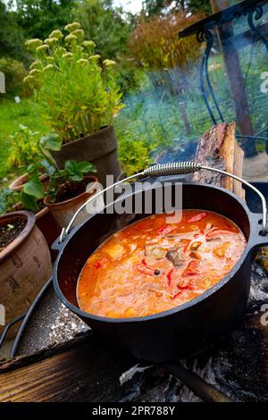 Über einem offenen Feuer wird Wassergulasch zubereitet! Stockfoto