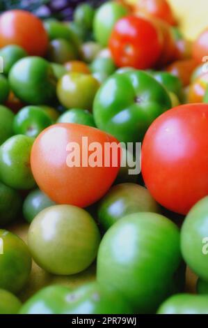 Nahaufnahme von grüner und roter Tomate. Rohe Tomaten in verschiedenen Reifegraden, grün, rot, biologisch, von oben. Zoomen Sie auf frische, gesunde, rohe Tomatenprodukte. Geerntete Tomaten für köstliche Mahlzeiten Stockfoto