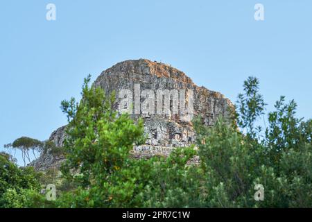 Panoramablick auf den Tafelberg und die Twelve Apostles Gebirgskette vom Lions Head in der Nähe des Signal Hill in der Abendsonne. Foto halb bedeckt mit langen Bäumen und einem Berg unter einem hellblauen Himmel. Stockfoto