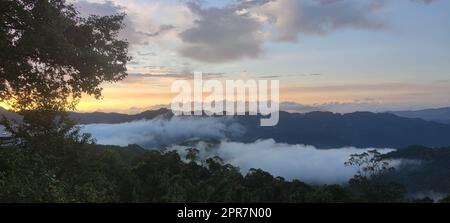 Der schönste Waldweg, Beiyi Highway, Taiwan Stockfoto