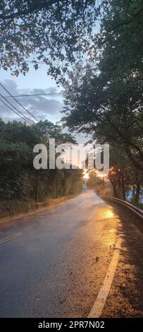 Der schönste Waldweg, Beiyi Highway, Taiwan Stockfoto