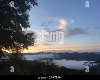 Der schönste Waldweg, Beiyi Highway, Taiwan Stockfoto