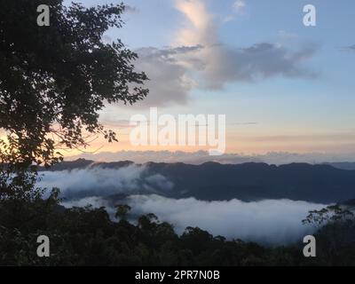 Der schönste Waldweg, Beiyi Highway, Taiwan Stockfoto