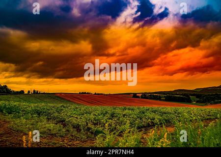 Natur und Dämmerung von Biei-Cho Stockfoto