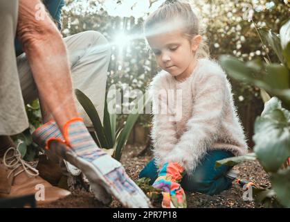 Der Ruhm der Gartenarbeit Hände im Schmutz. Aufnahme eines entzückenden kleinen Mädchens, das mit ihrem Großvater im Garten arbeitet. Stockfoto