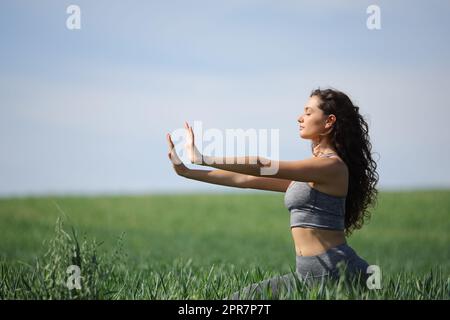 Eine Frau, die Tai Chi auf einem grünen Feld praktiziert Stockfoto