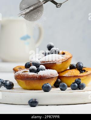 Runde Mini-Hüttenkäsepastete mit Blaubeeren auf einem weißen Holzbrett Stockfoto